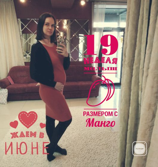 19 недель ♥