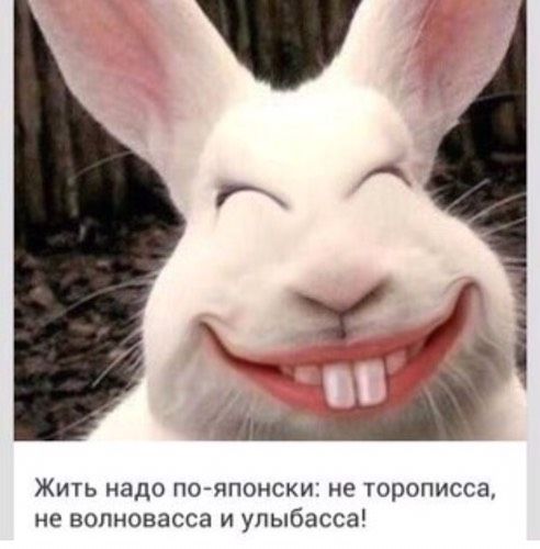 Всю ночь я спала