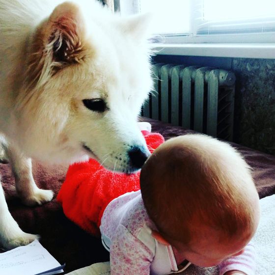 У кого есть животные