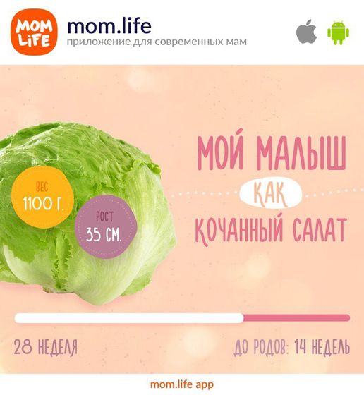 Пошла 28 неделя🤰🏼Привет третий