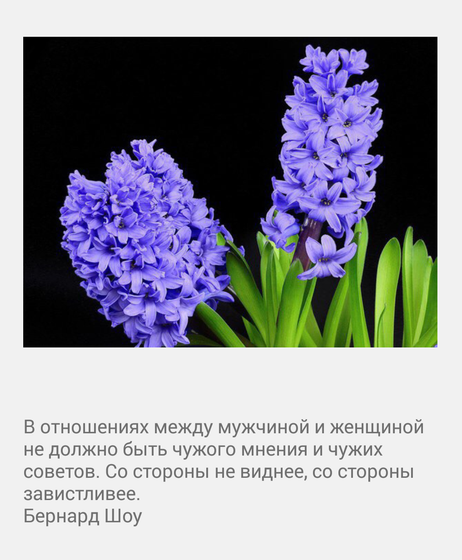 Всем доброго утра и хорошего дня 😊
