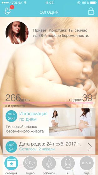 38 недель