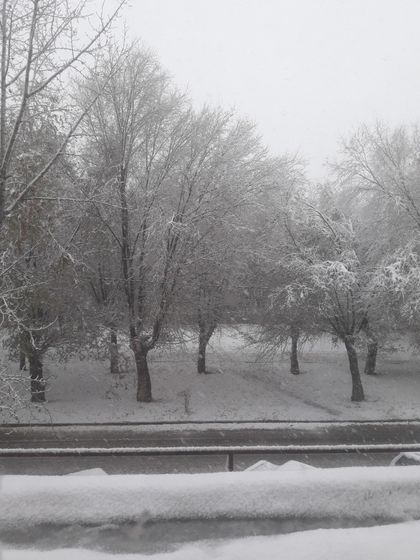 А за окном - зима?❄