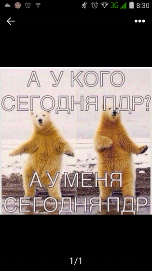 ПДР🎆🎈🎊🎉🎇