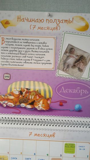 8 месяцев