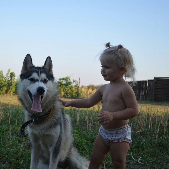 Я думаю рассказывать смысла