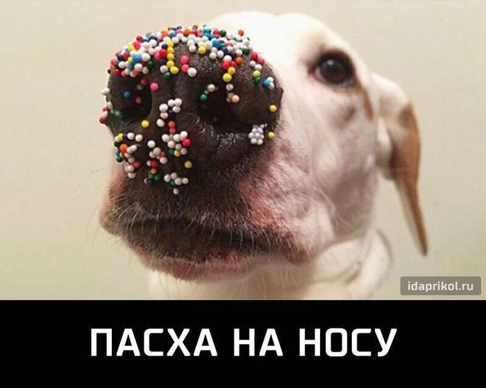 Когда пропадает ощущение отпуска...