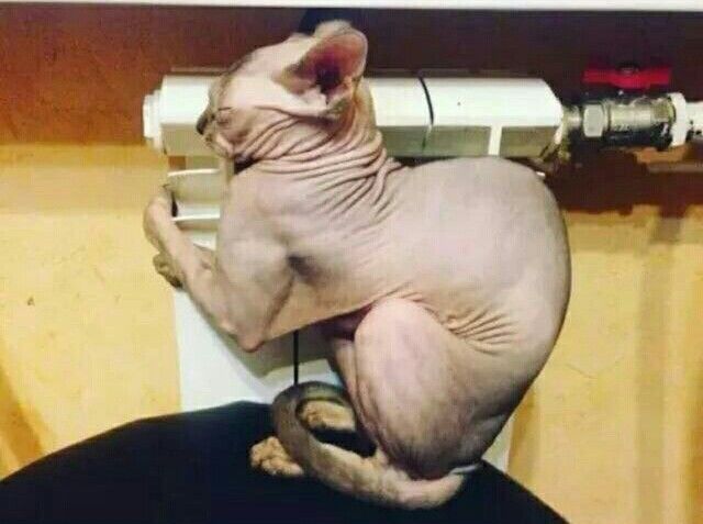 Для настроения💕😳