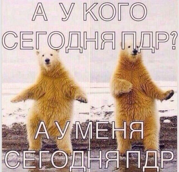 Вот и мой день настал!