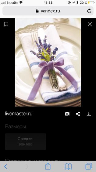 День рождения принцессы)