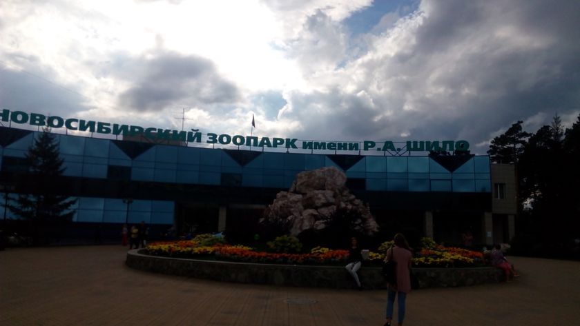 Я вернулась) Для подруг