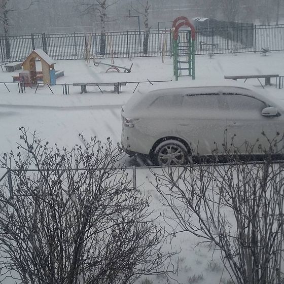 В Питер пришла зима!Метет