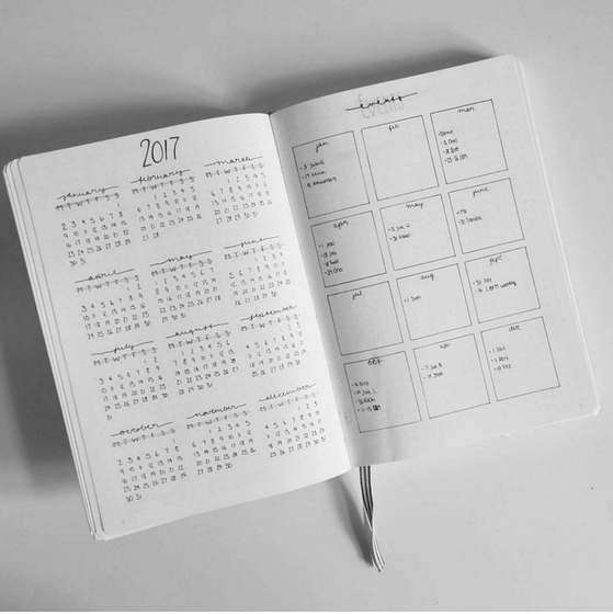 Bullet Journal (3)