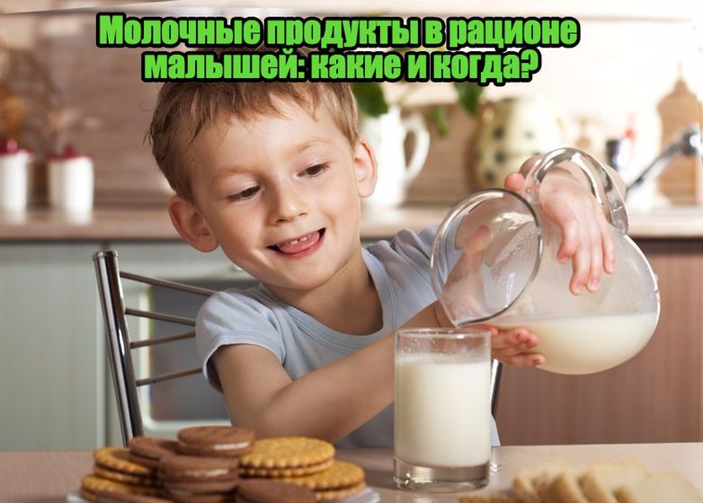 Молочные продукты в рационе малышей: какие и когда?