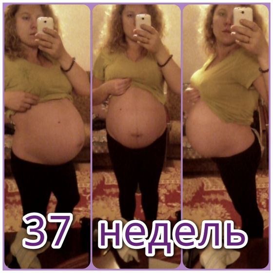 37 недель💜 мои фотопузики🎬😉