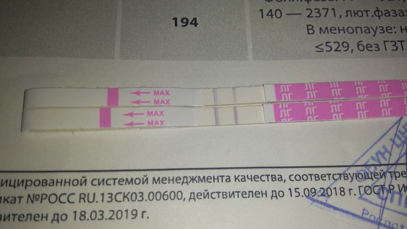 Тест на овуляцию