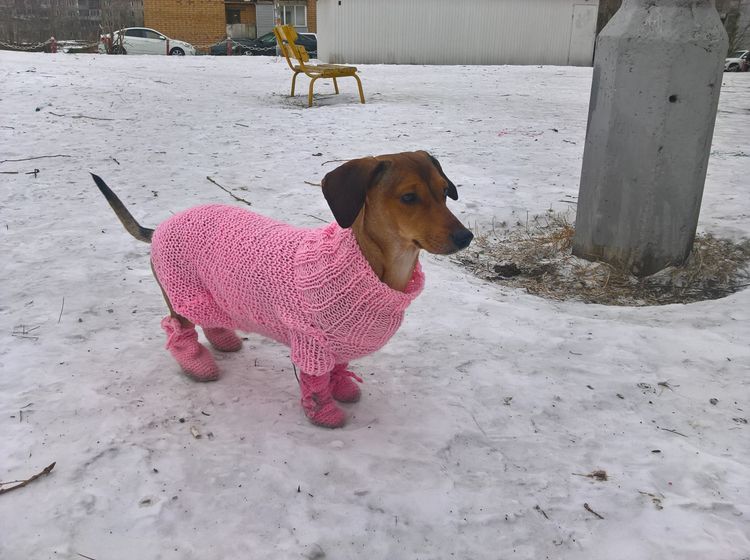 Новый костюм у моей