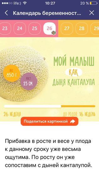 Как быстро мы растём)