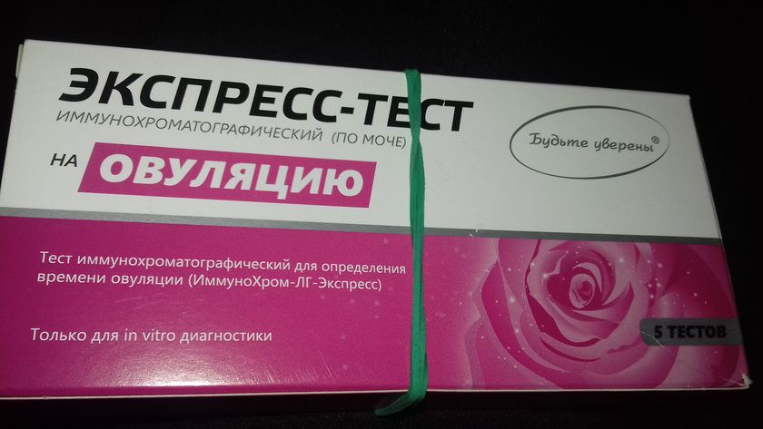 Овуляция? 😯