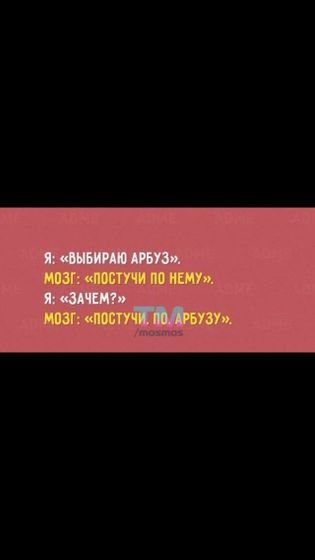 Из вк. Не смогла пройти мимо)