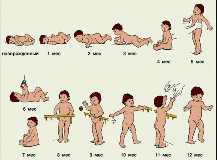 Речь ребенка в 1-3 года!