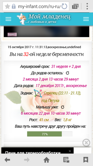 31-неделя беременности