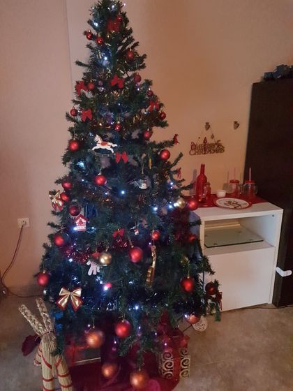 Елочки🌲🌲