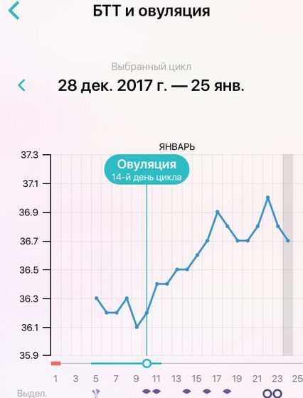 Мой график БТ