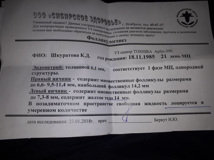 Сегодня 21 дц