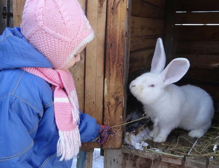Поделки на Рождественские святки