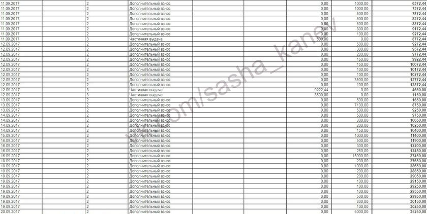 Отчет о поступлениях для Саши Канева Сентябрь