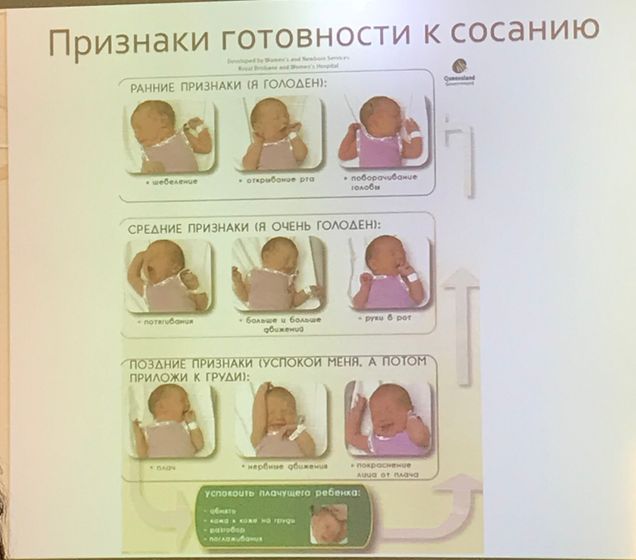 Грудное вскармливание