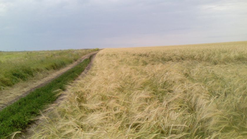 Большой пост про наш отдых на Хопре и день рождение Тимоши.