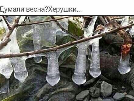 Думали
