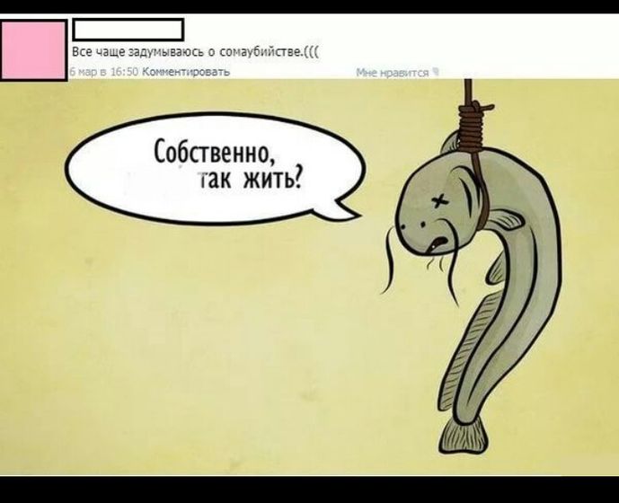 Не трогайте сома ??