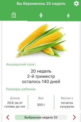 Экватор ???