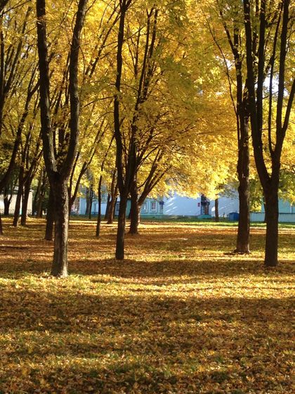 Красочная осень