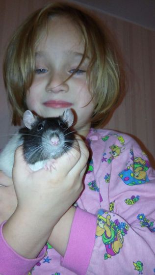 Наш зверинец
