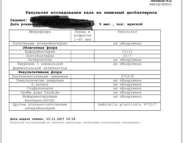 Клеблиелла