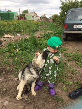 День пограничника