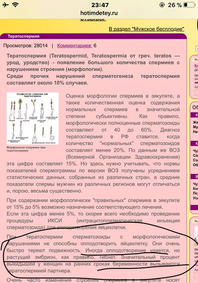 нарыла статьи про зб или мысли на ночь ?