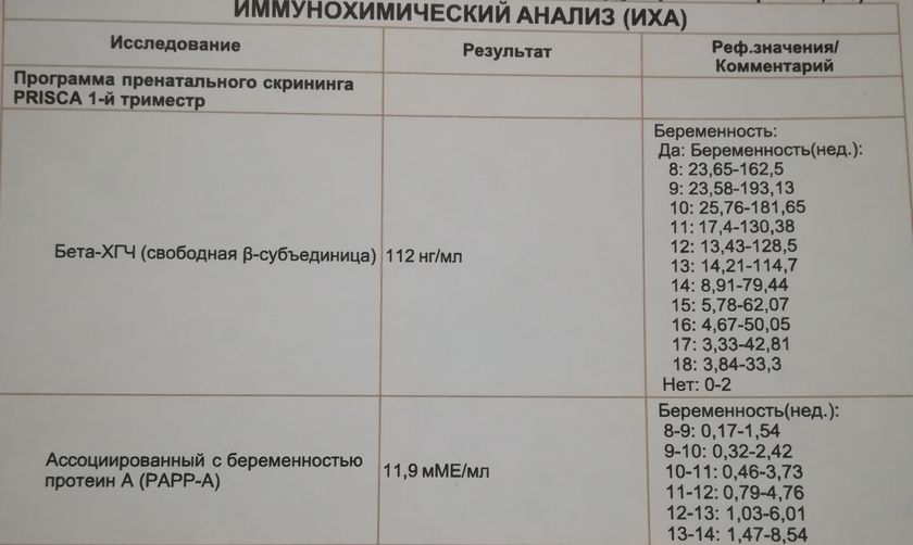 Первый скрининг двойни!