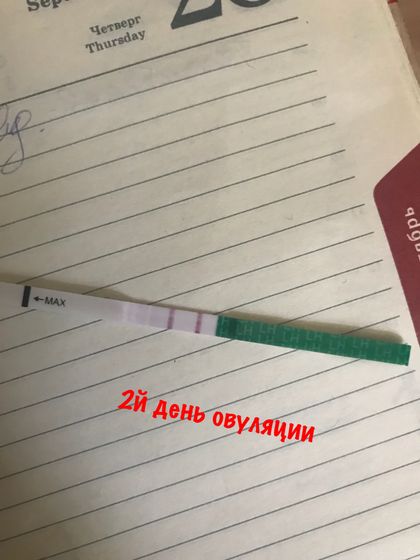 Тесты на овуляцию