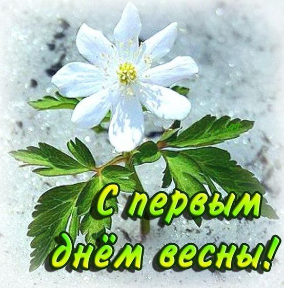 Всех всех с первым днем Весны????
