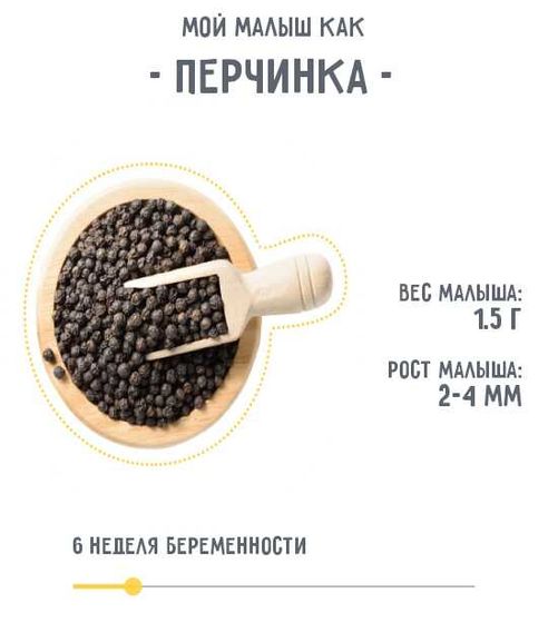 Растём. 6 недель