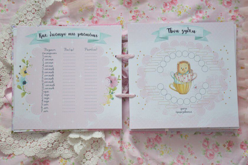 Альбом и папочка ручной работы 🌸