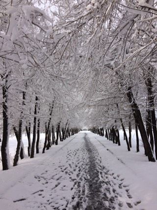 ❄️ 3 мая 2017