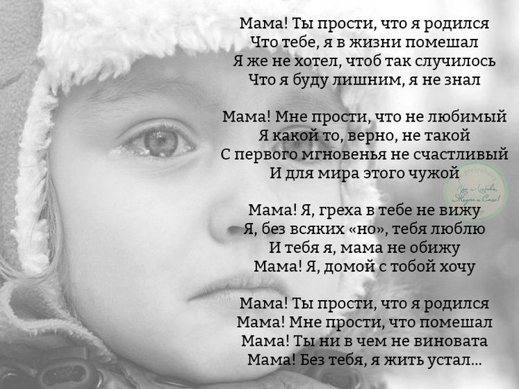 Прочитала и заплакала...??