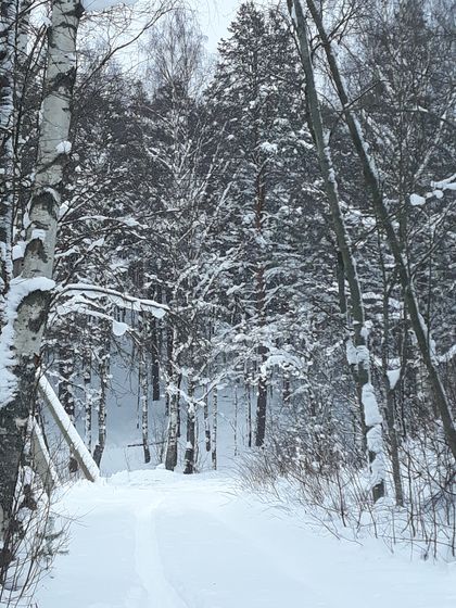 День четвертый в снежной сказке ❄❄❄