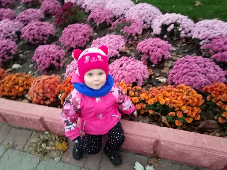 Вопрос